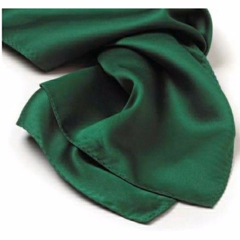 Kelly Green Silk Scarf - 10"x54"
