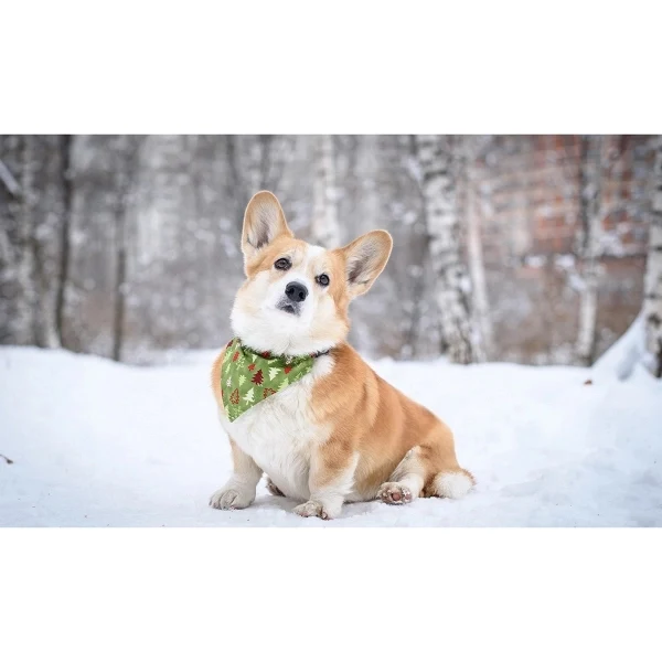 Pet Bandannas - Screen Sublimation 1