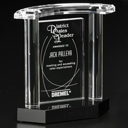 Vanessa Award 1