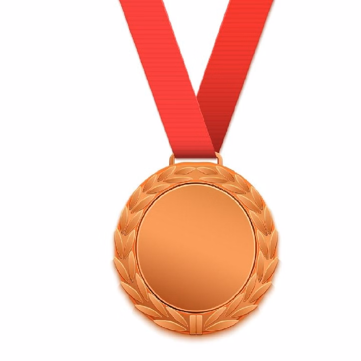 Customized Shiny Bronze Plated Zinc Alloy Medal