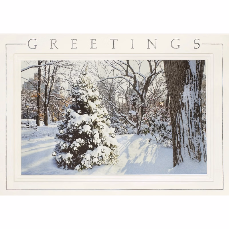 Hidden Treasure Holiday Cards
