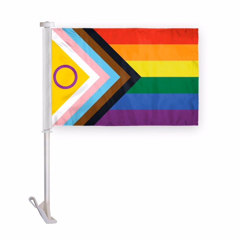 10.5" x 15" wPoly Intersex Progressive Pride Premium CarFlag
