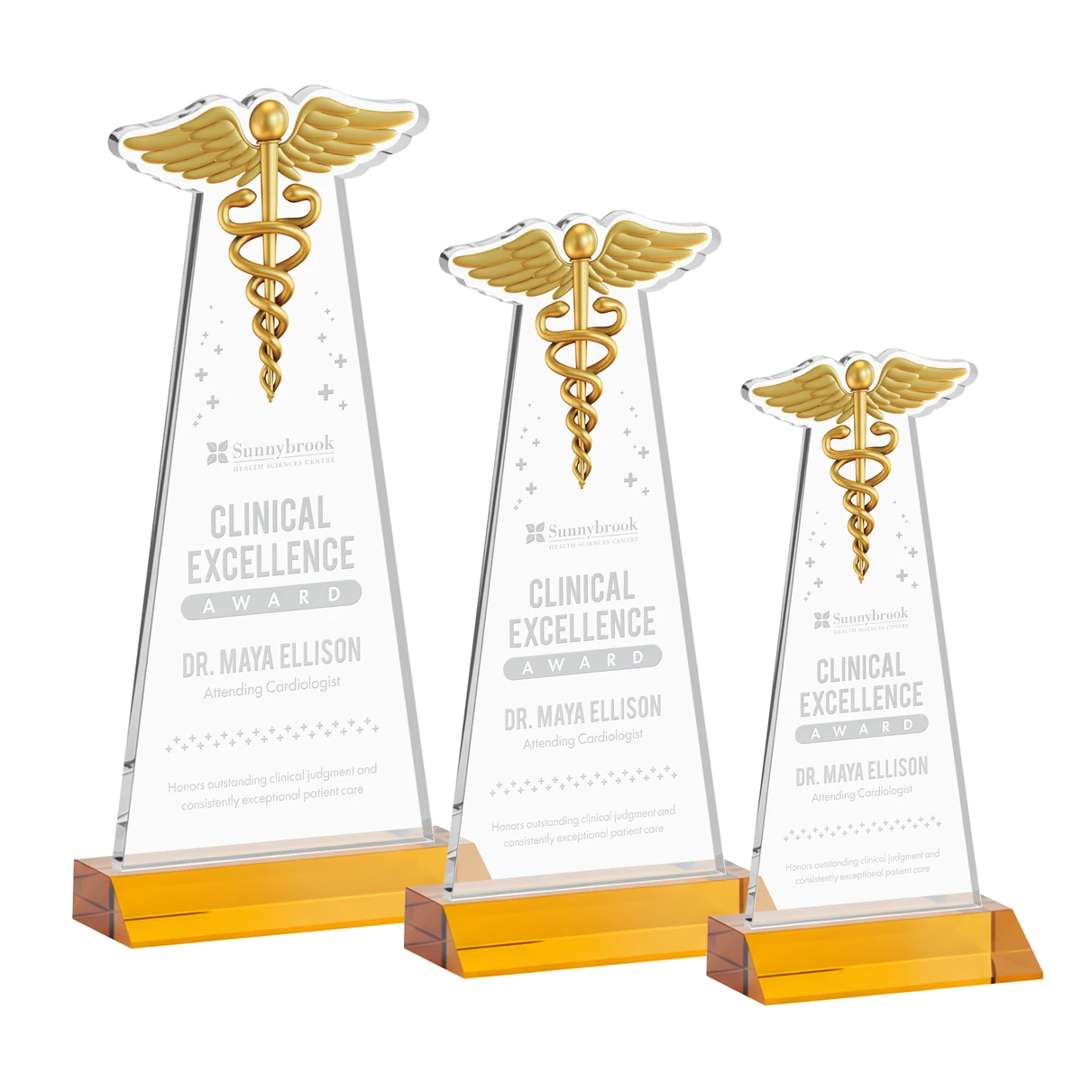 Caduceus Award - Amber 1