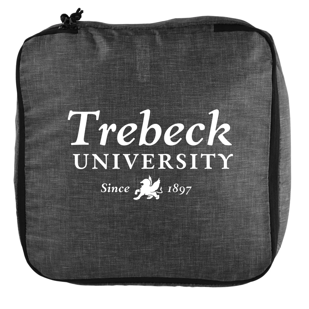 Excursion Recycled Packing Cube Set 1