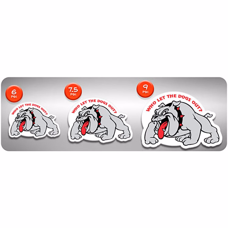 Custom Styrene Plastic Magnet (9")