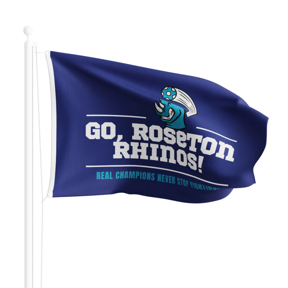 Large Flag 24" x 36" Full Color (Domestically Decorated) 1