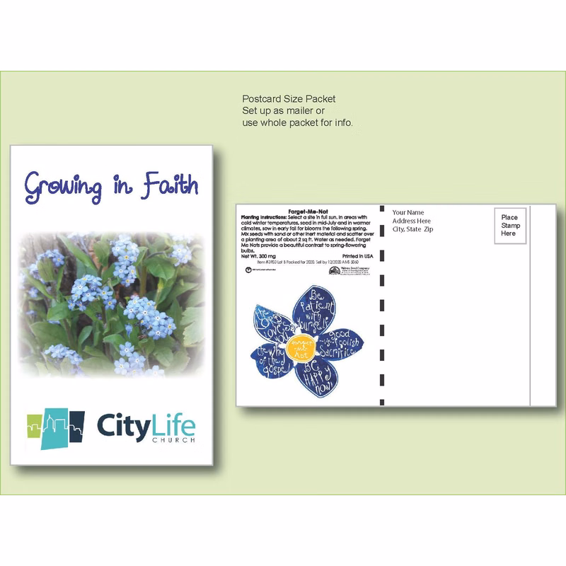 Forget-Me-Not Seed Packet - Postcard Mailer Size 4" x 6.5"