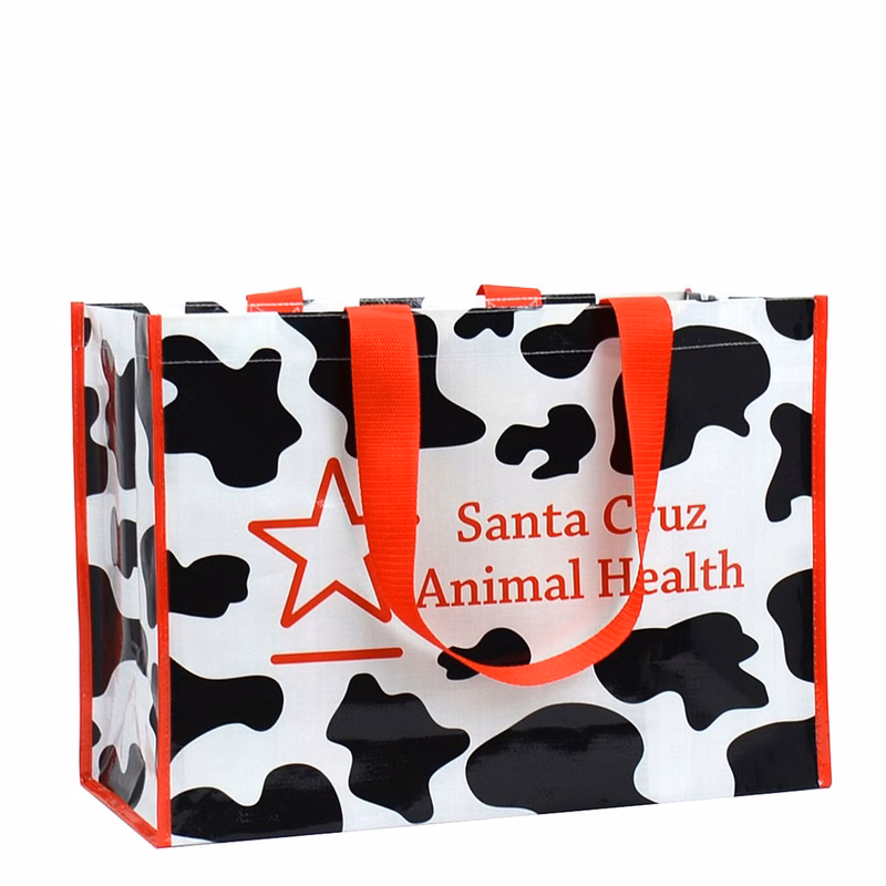 Custom Full-Color 170g Laminated Woven PE Recycled Shopping Bag 18"x13"x9"