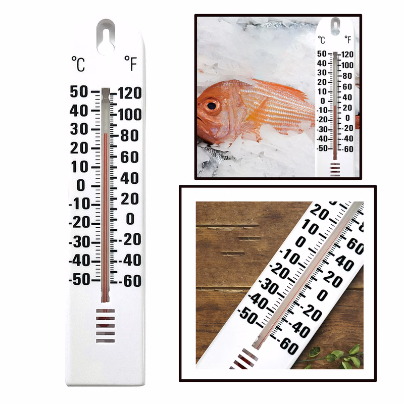 Wall-Mounted Environmental Thermometer