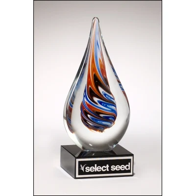 Teardrop-Shaped Art Glass Award 1