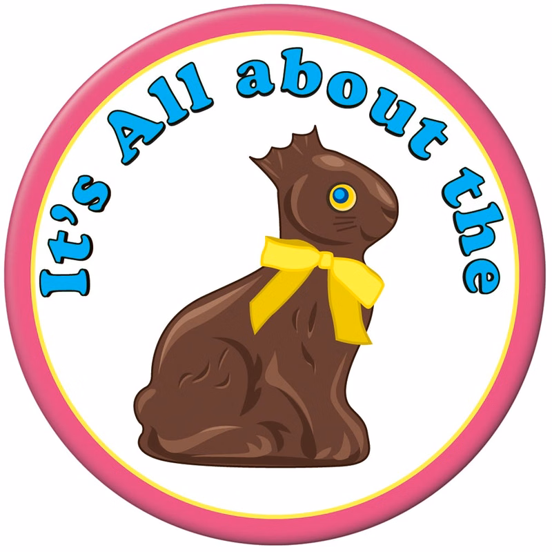 Chocolate Bunny Pins - Multicolor 3.5"