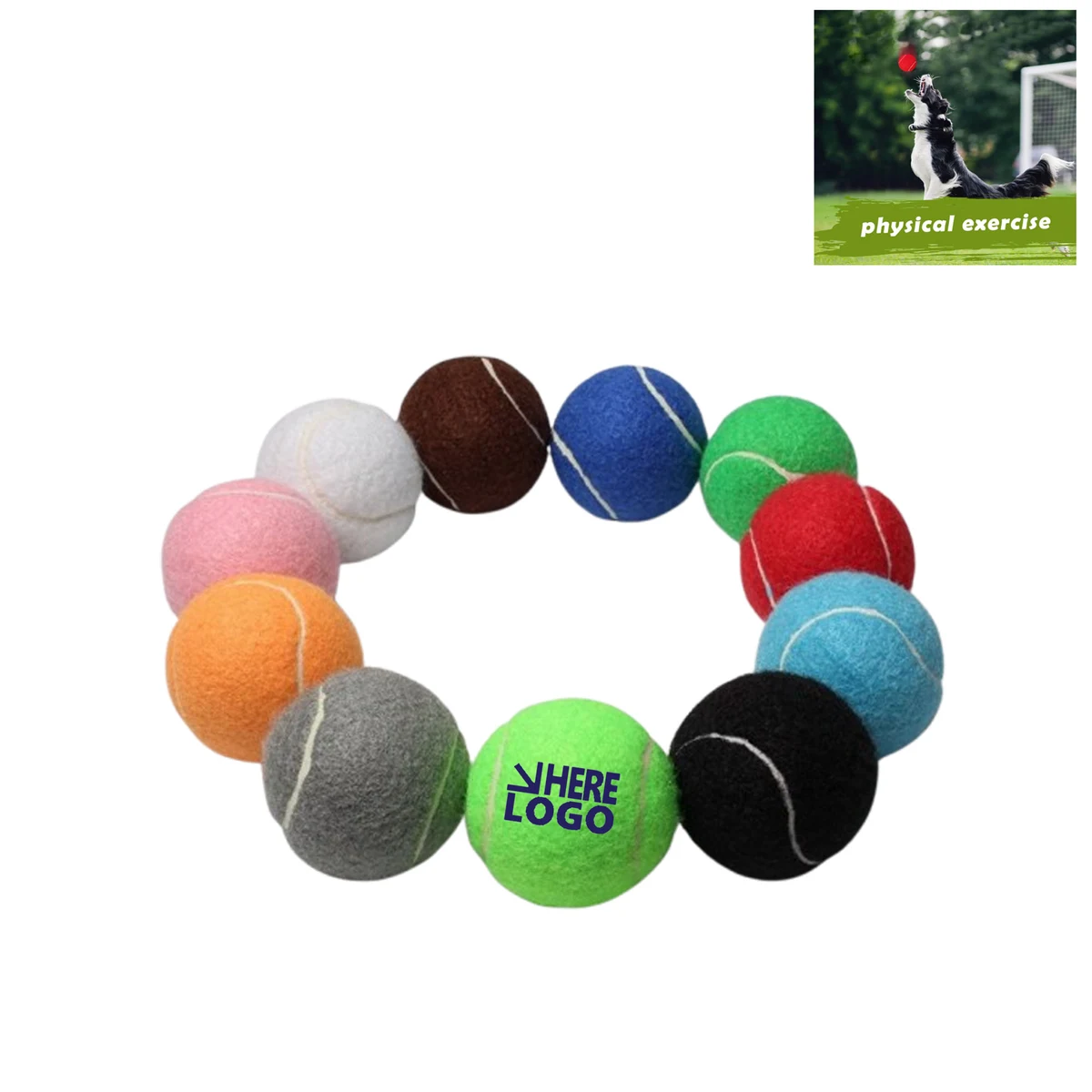 Customizable Training Balls For Puppy Dogs Playing 1