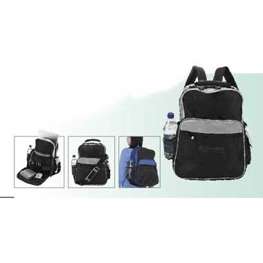 Laptop back pack 1
