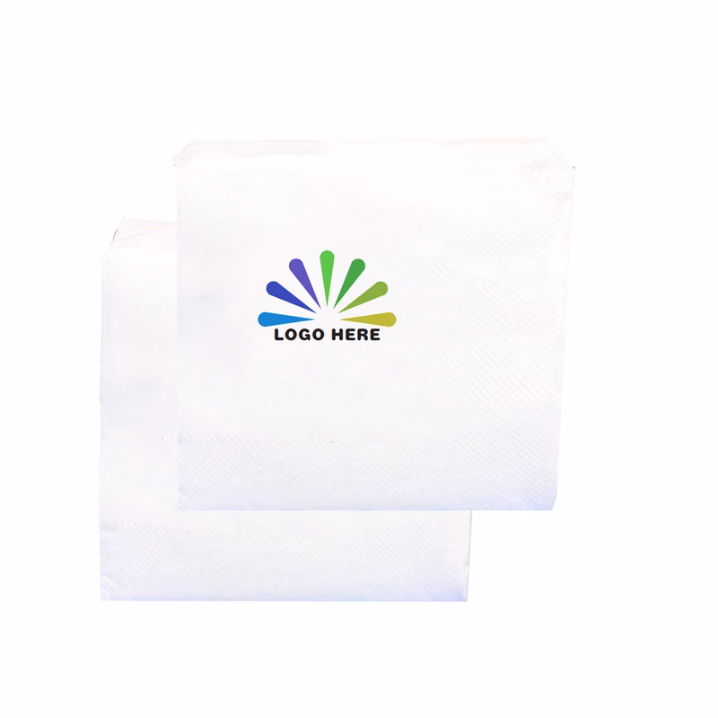 Portable And Environmentally Friendly Napkins