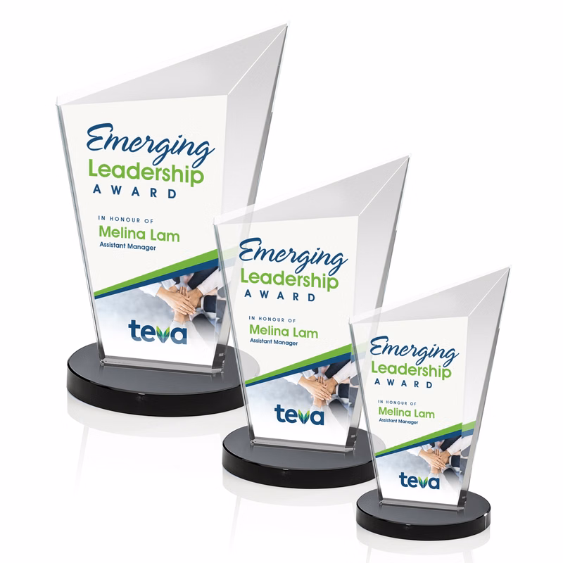 Wiltshire VividPrint™ Award - Black