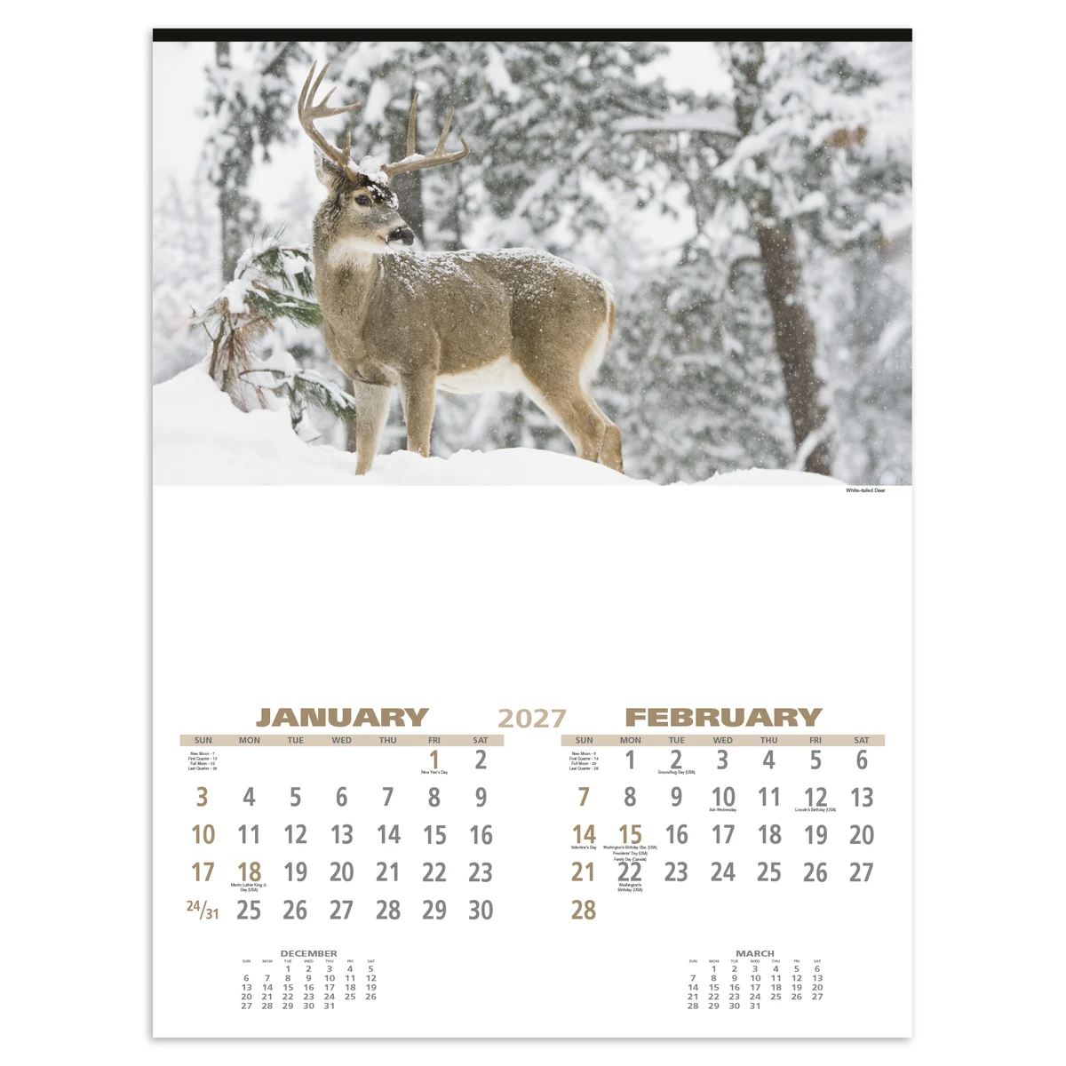 Triumph® Calendars Wildlife Calendar 1