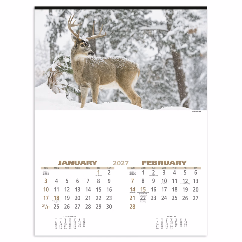 Triumph® Calendars Wildlife Calendar