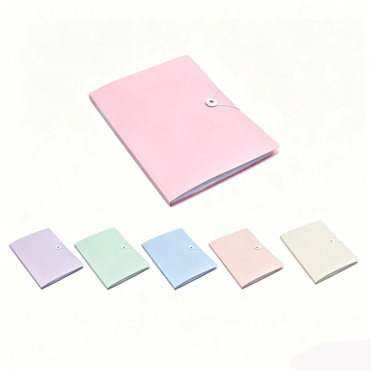 Transparent A4 File Holder 1