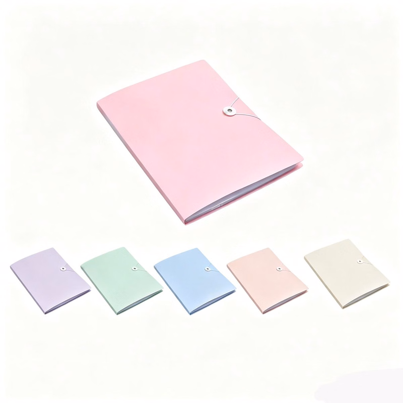 Transparent A4 File Holder