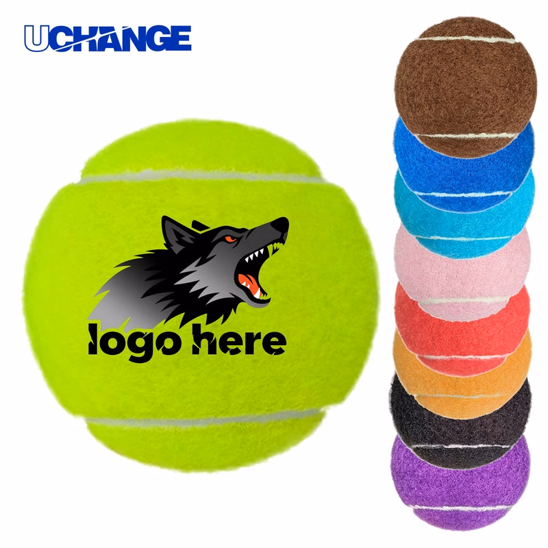 Heavy Duty Chew Proof Dog Ball for Training Play
