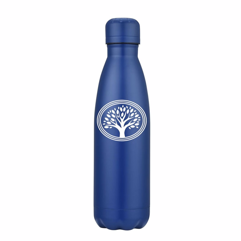 17 Oz. Peak Stainless Bottle