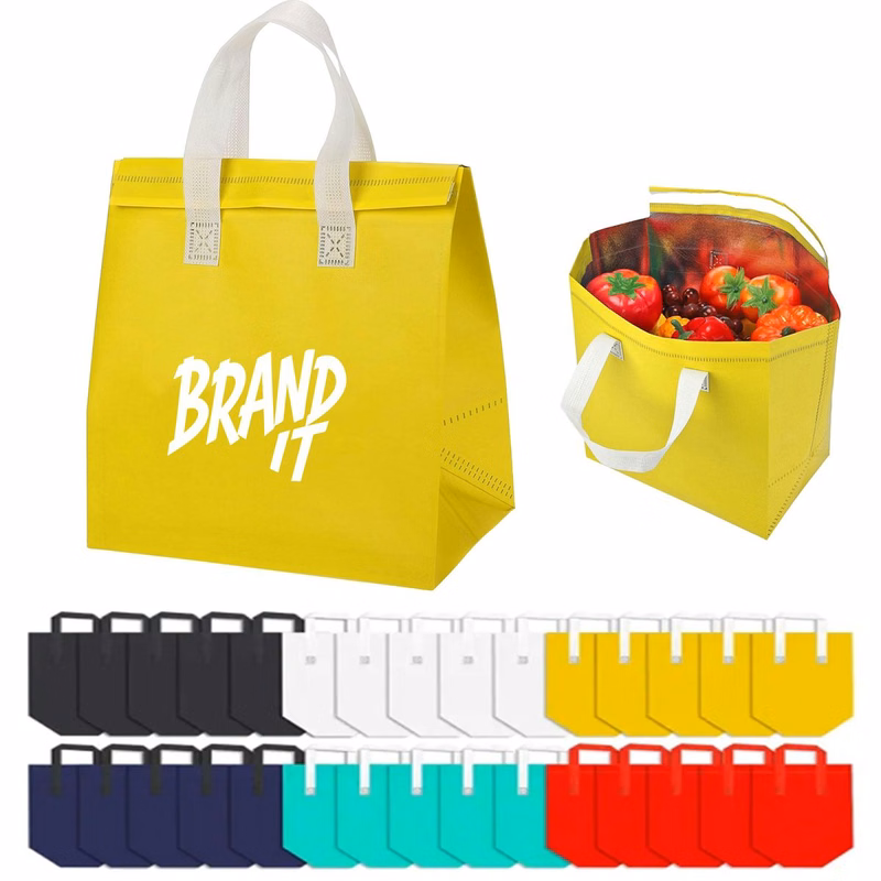 Disposable Insulated Takeout Self sealing Bags