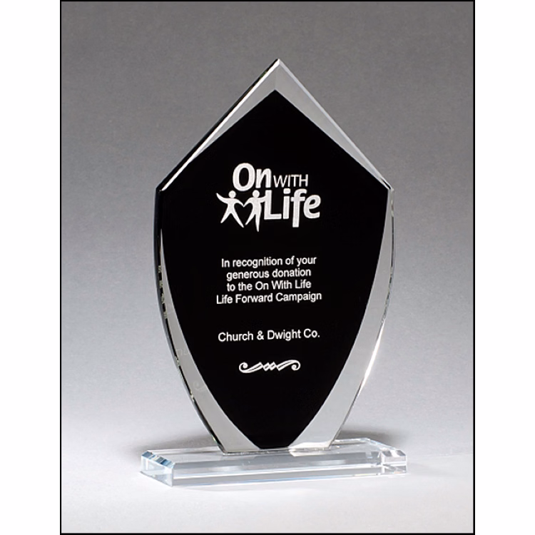 Zenith Shield Award
