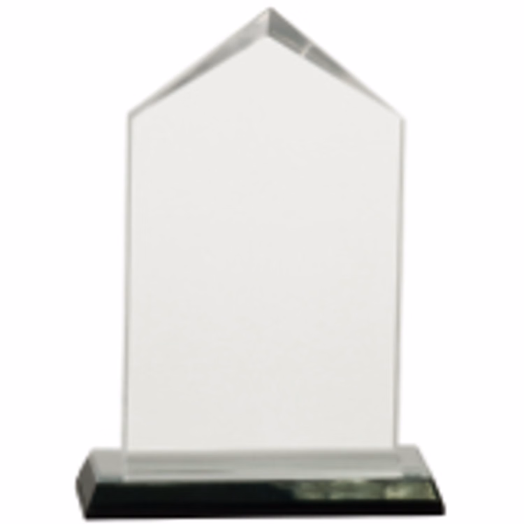 6.5" Silver Jewel Impress Acrylic Award