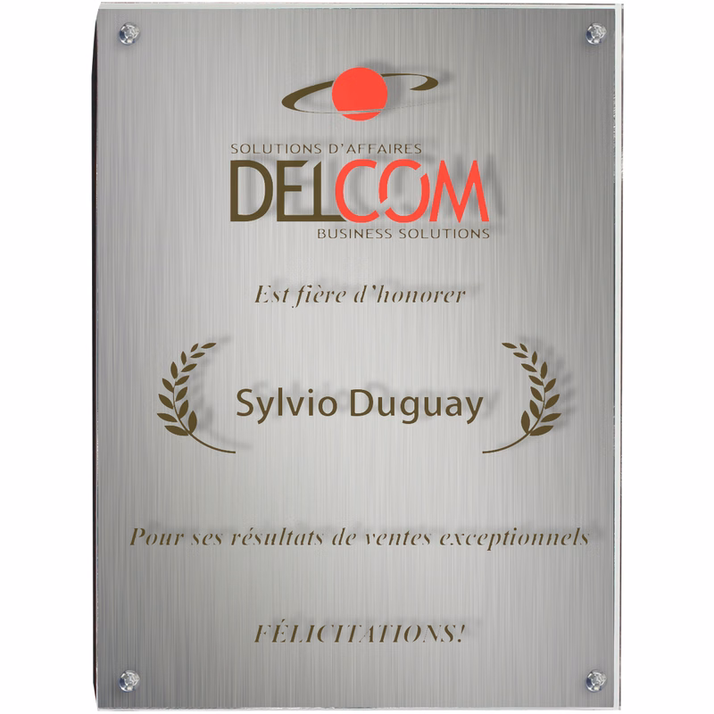 Aluminum Plaque (8"x 10"x 1") Screen-Printed