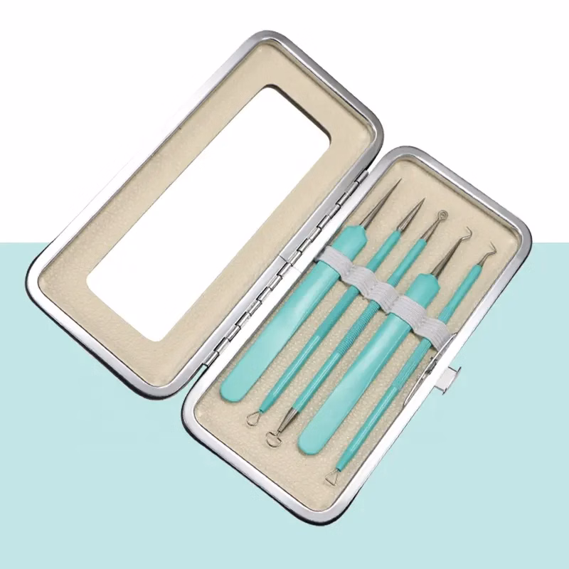 5 Pcs Acne Needle Set