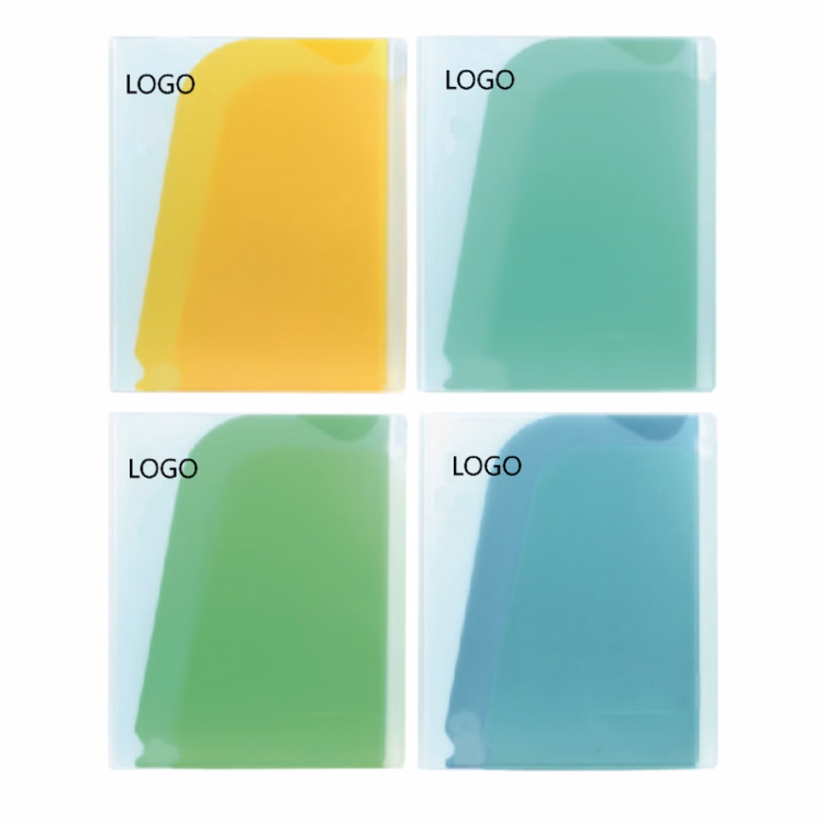Document Bag