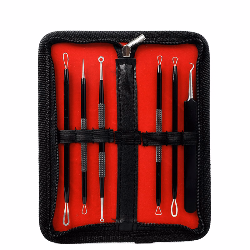 6 Pcs Acne Remover Needles Set
