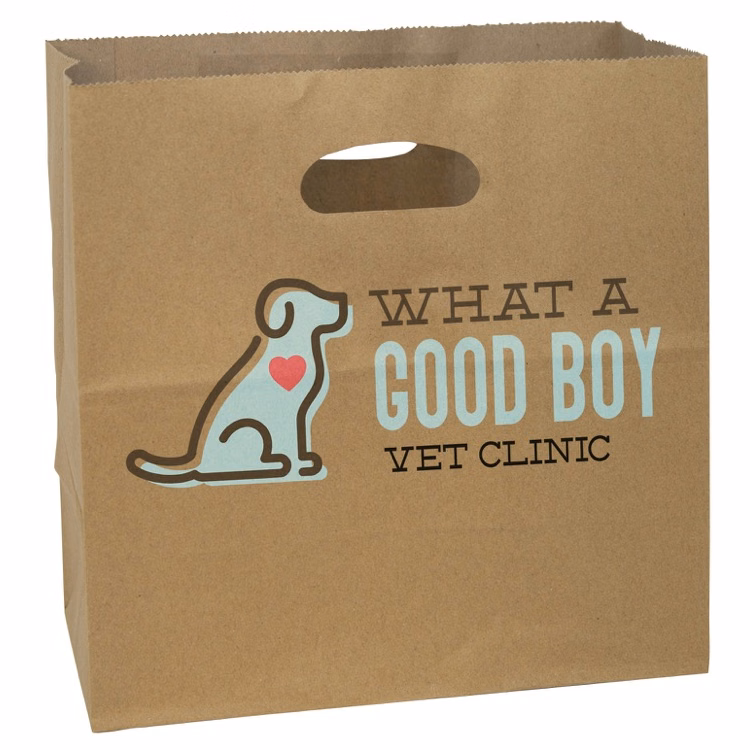 Full Color Natural Kraft Paper Take Out Bag (11" x 11" x 6")