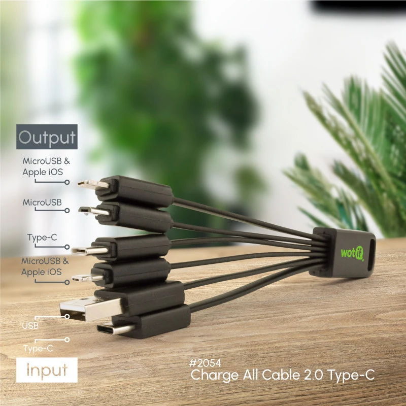Charge All Cable 2.0 Type-C 1