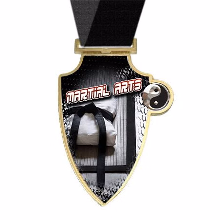 Medallion: 3" Shield Martial Arts Night Series