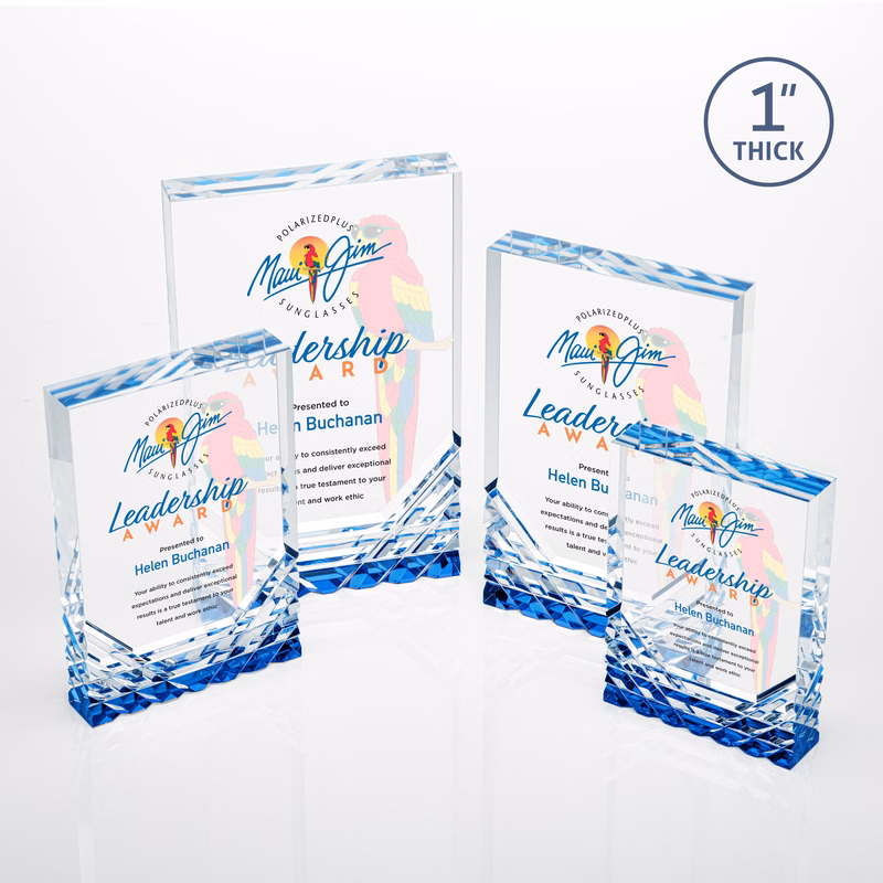 Elektra VividPrint™ Award - Blue