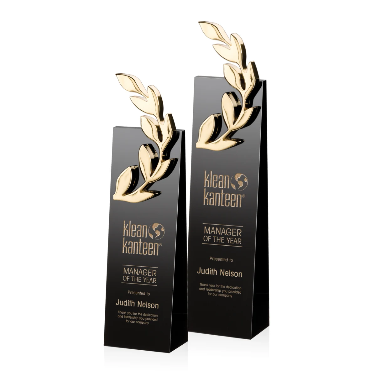 Camborne Award - Gold 1