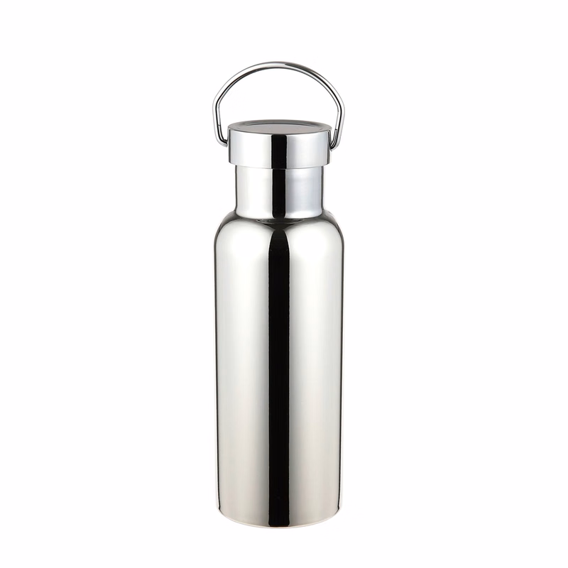 Stainless Steel Sports Water Bottle With Top Handle