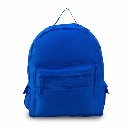 Budget Backpack- Eco Friendly