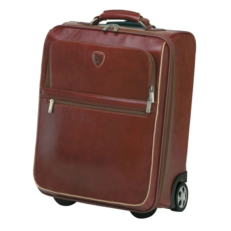 Brown Trolley Case 1