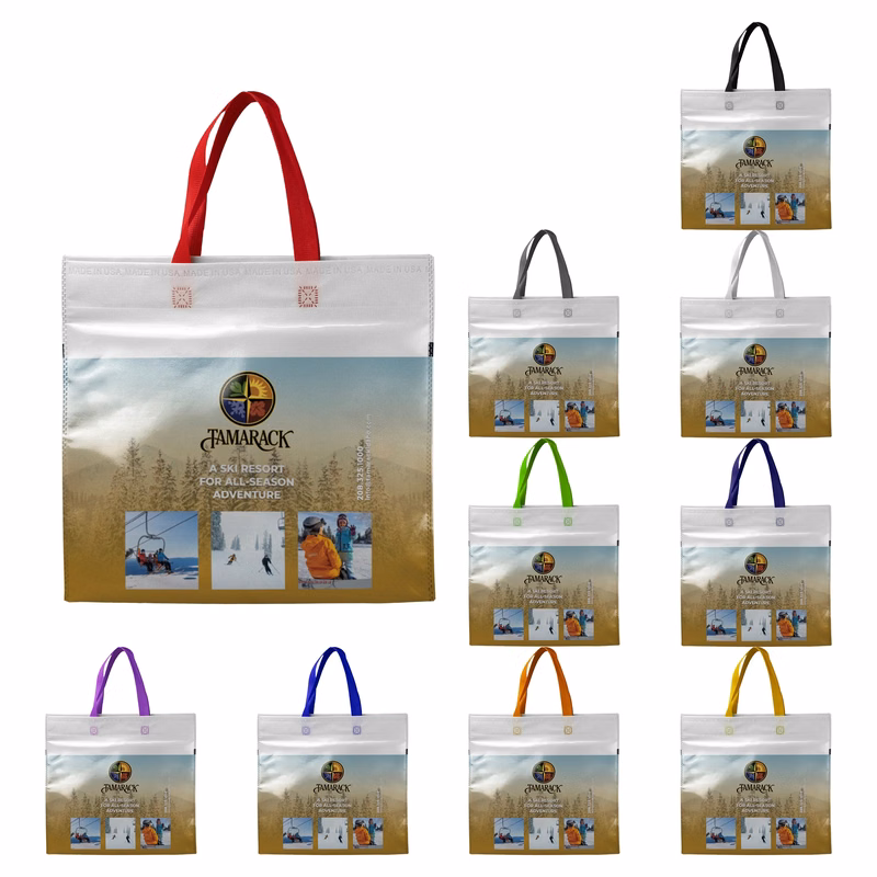 Full Color Laminated Bag