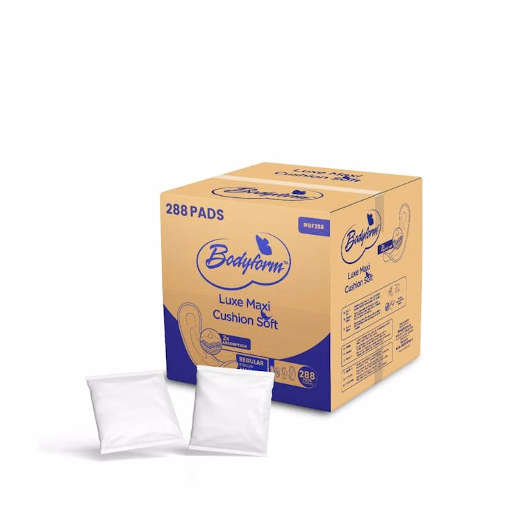 Regular Maxi Pads With Wings Bulk Packaging - 288 Pads Per Box