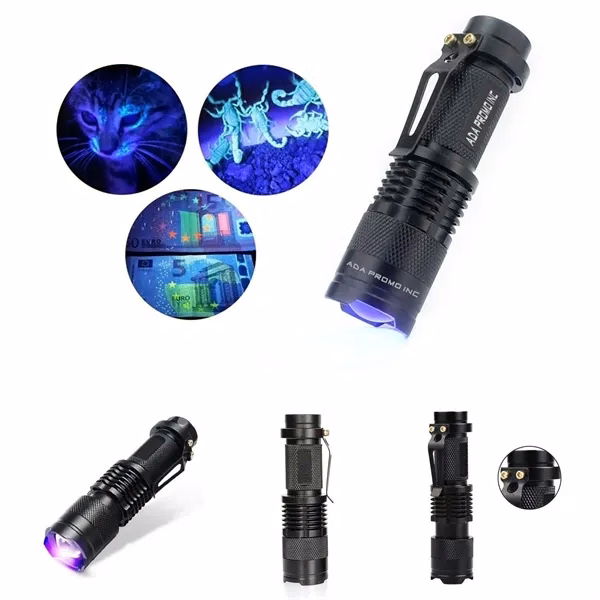 Portable UV Fluorescent Flashlight