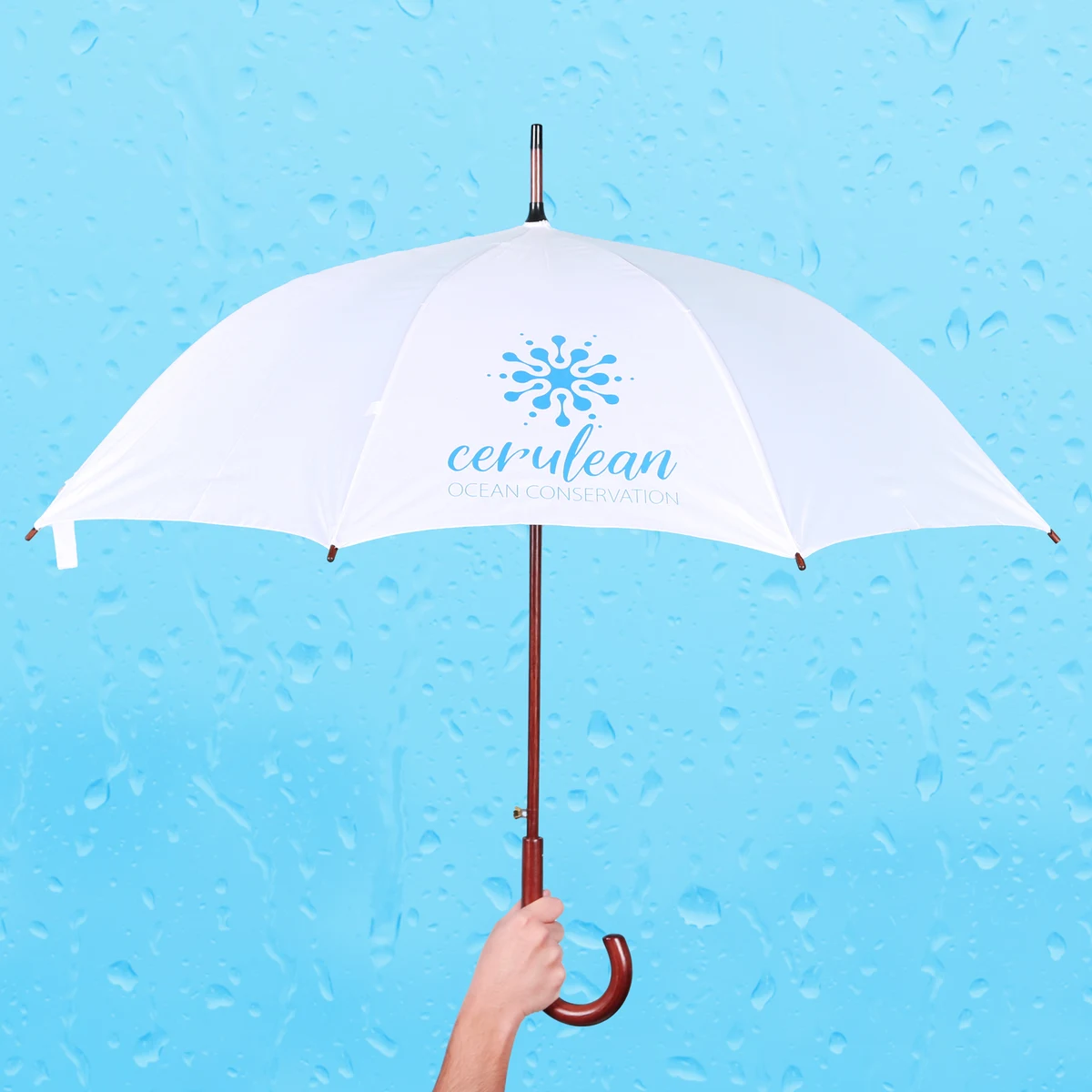 EXECUTIVE UMBRELLA: 48" Arc with Hook Handle 1