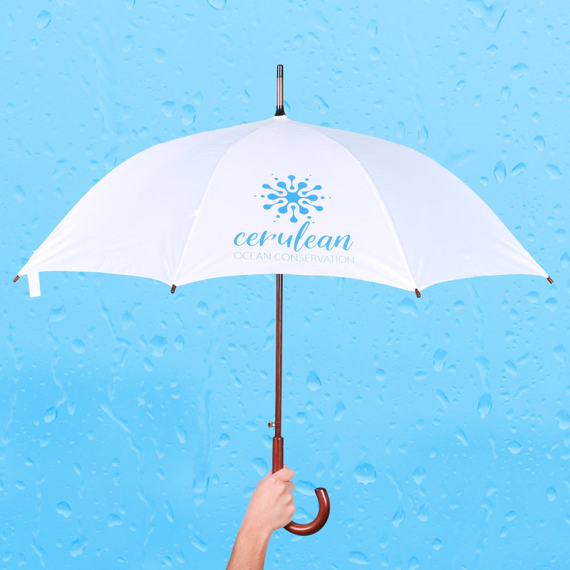 EXECUTIVE UMBRELLA: 48" Arc with Hook Handle