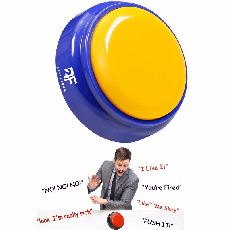 30 Seconds Recorder Button