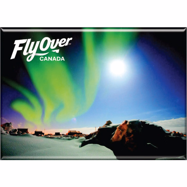 Metal Souvenir Magnet (2"x3") Digital Full Colour Imprint