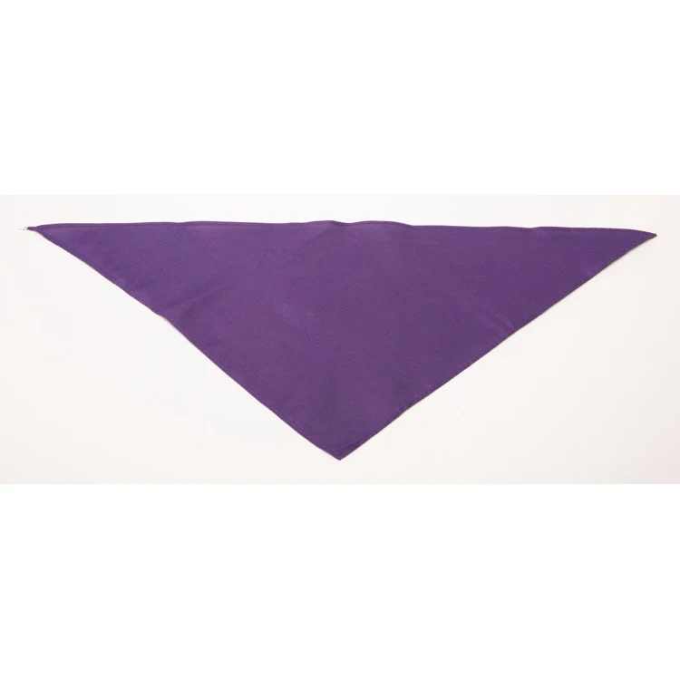 Personalized Small Purple Triangle Pet Bandana 1