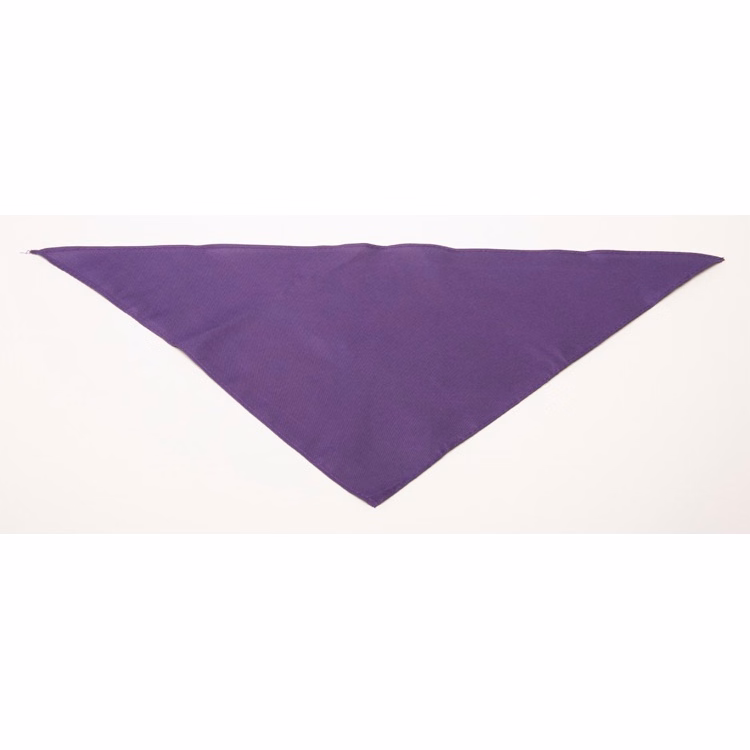 Personalized Small Purple Triangle Pet Bandana