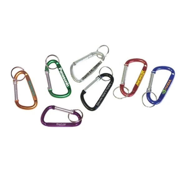 Carabiner with split key ring 1